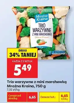 Biedronka Trio warzywne z mini marchewką Mroźna Kraina 750 g oferta