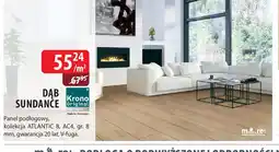 DDD Krono Original Panel podłogowy Dąb Sundance oferta
