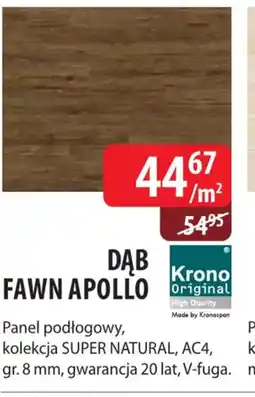 DDD Krono Panel Dąb Fawn Apollo oferta