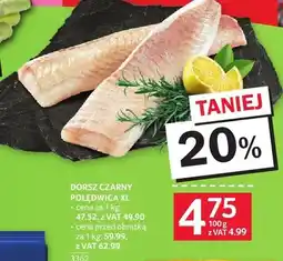 Selgros Dorsz czarny polędwica XL oferta