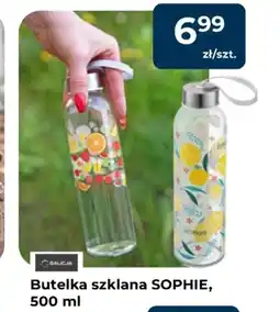 Mrówka Butelka Galicja oferta