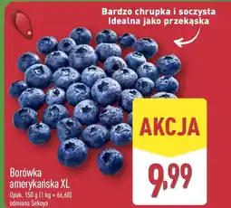 ALDI Borówka amerykańska oferta