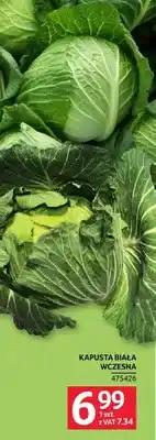 Selgros Kapusta biała wczesna oferta