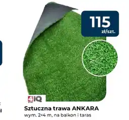 Mrówka Trawa sztuczna 4IQ oferta