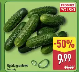 ALDI Ogórki Polski oferta