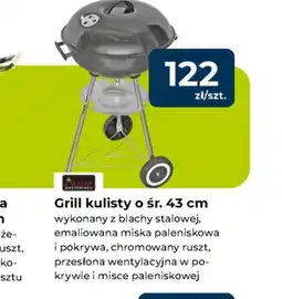 Mrówka Grill oferta