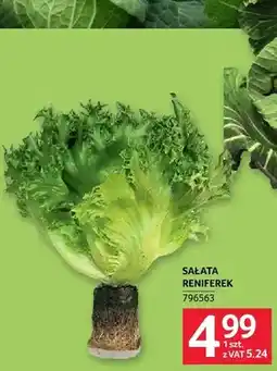 Selgros Sałata Reniferek oferta