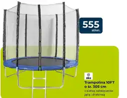 Mrówka Trampolina oferta