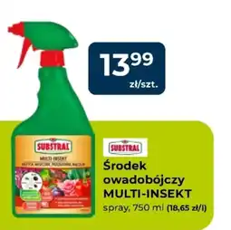 Mrówka Środek owadobójczy Substral oferta