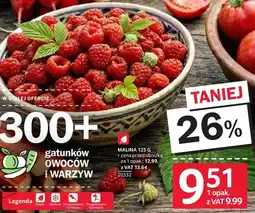 Selgros Malina oferta