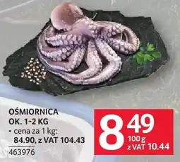 Selgros Ośmiornica ok oferta