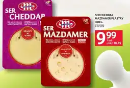 Selgros Ser Cheddar, Mazdamer plastry Mlekovita oferta