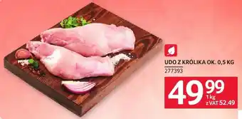 Selgros Udo z królika oferta