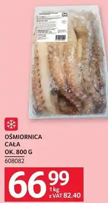 Selgros Ośmiornica cała oferta