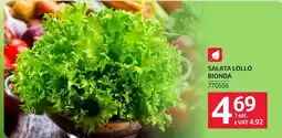 Selgros Sałata Lollo Bionda oferta