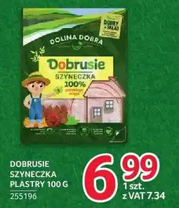 Selgros Szyneczka Dobrusie Dolina Dobra oferta