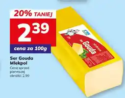 Hitpol Ser Gouda oferta