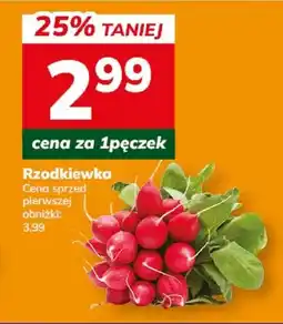 Hitpol Rzodkiewka oferta