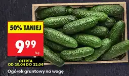 Biedronka Ogórek oferta