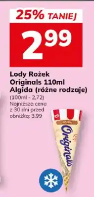 Hitpol Lody Rożek Algigida (różne rodzaje) oferta