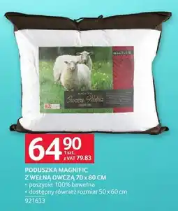 Selgros Poduszka Magnific z wełną owczą 70 x 80 cm oferta