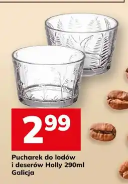 Hitpol Pucharek do lodów i deserów Holly Galicja oferta