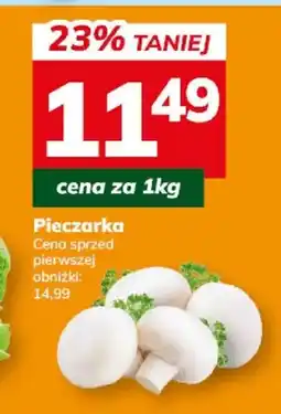 Hitpol Pieczarka oferta