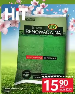 Selgros Trawa renowacyjna oferta