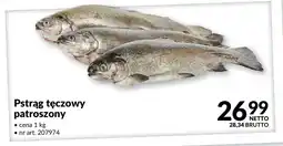 Makro Pstrąg tęczowy patroszony oferta