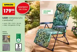 Biedronka Leżak oferta