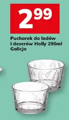 Hitpol Pucharek do lodów i deserów oferta