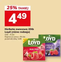 Hitpol Herbata owocowa (różne rodzaje) oferta