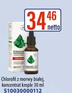 AT Chlorofil z morwy białej oferta