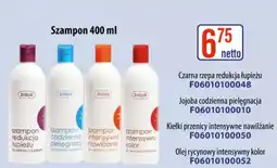 AT Ziaja Szampon oferta