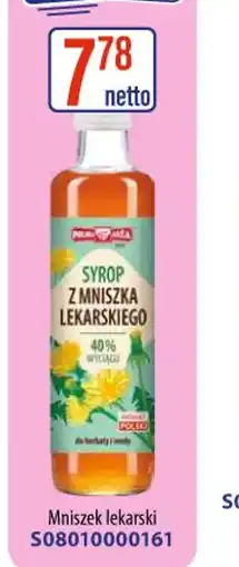 AT Syrop z mniszka lekarskiego oferta
