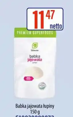 AT Babka jajowata łupiny oferta