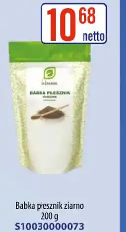 AT Babka płesznik ziarno oferta