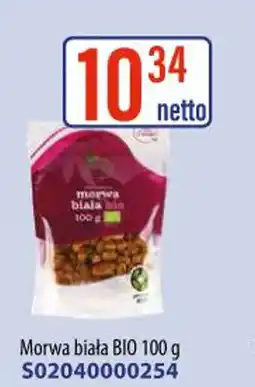 AT Morwa biała BIO oferta