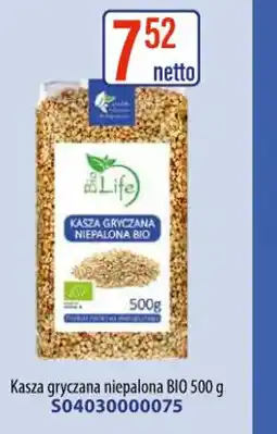 AT Kasza gryczana niepalona BIO oferta