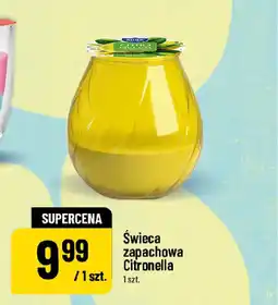 Polomarket Świeca zapachowa Citronella oferta