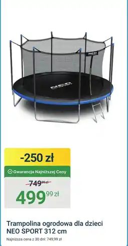 ERLI Trampolina ogrodowa Neo-Sport oferta