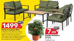 Bricomarche Sofa oferta