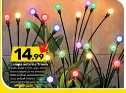 Bricomarche Lampa solarna oferta