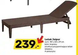 Bricomarche Leżak oferta