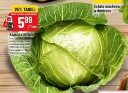 Polomarket Kapusta młoda oferta