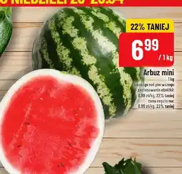 Polomarket Arbuz mini oferta