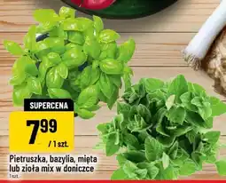 Polomarket Pietruszka, bazylia, mięta lub zioła mix w doniczce oferta