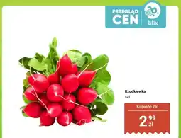 Dino Rzodkiewka oferta