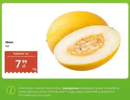 Dino Melon luz oferta