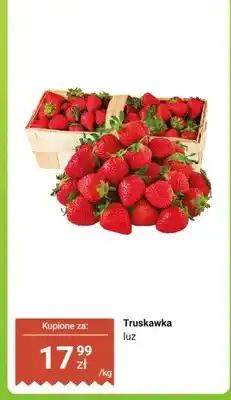 Dino Truskawka oferta